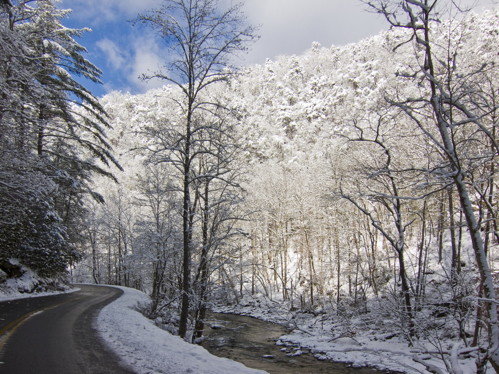 slideshow image